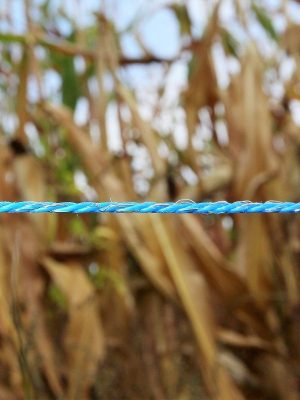 Koltec polywire blauw 3 mm is speciaal ontwikkelde blauwe kunststofdraad.