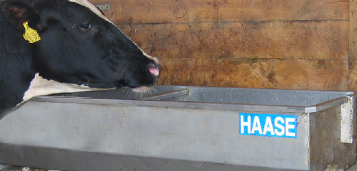 Haase-Tränken (by Thermotec AG)