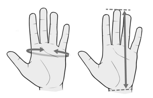 Ghidul mărimilor mănușilor GloVac