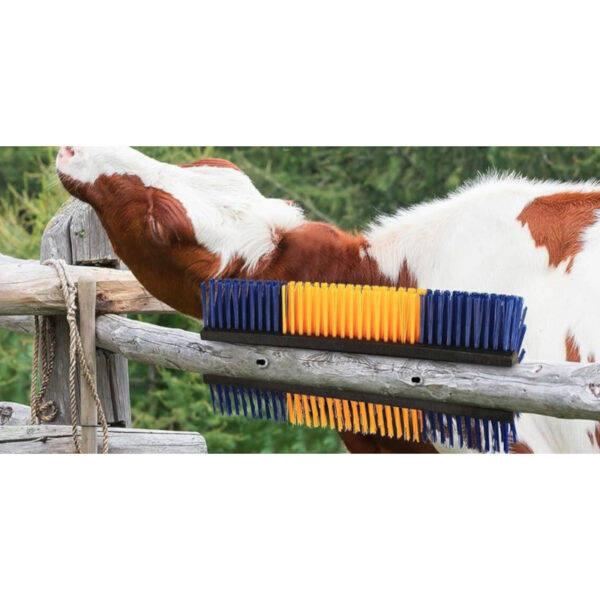 WD-AT001475 Halfronde dierenborstel met koe