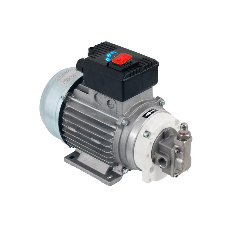 Pompe à engrenages auto-amorçant électrique pour huile, diesel, antigel et eau, 230/400 VAC, acier inoxydable